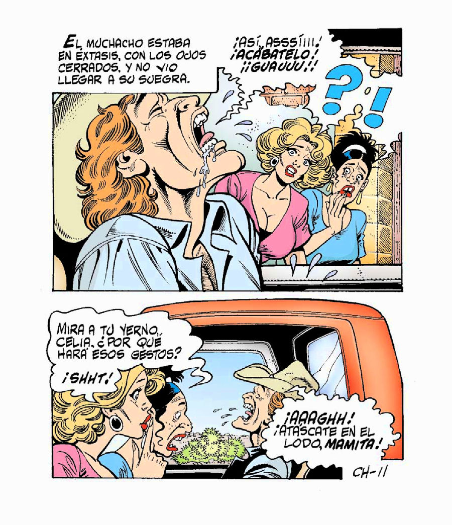 Las Chambeadoras 003 image number 11