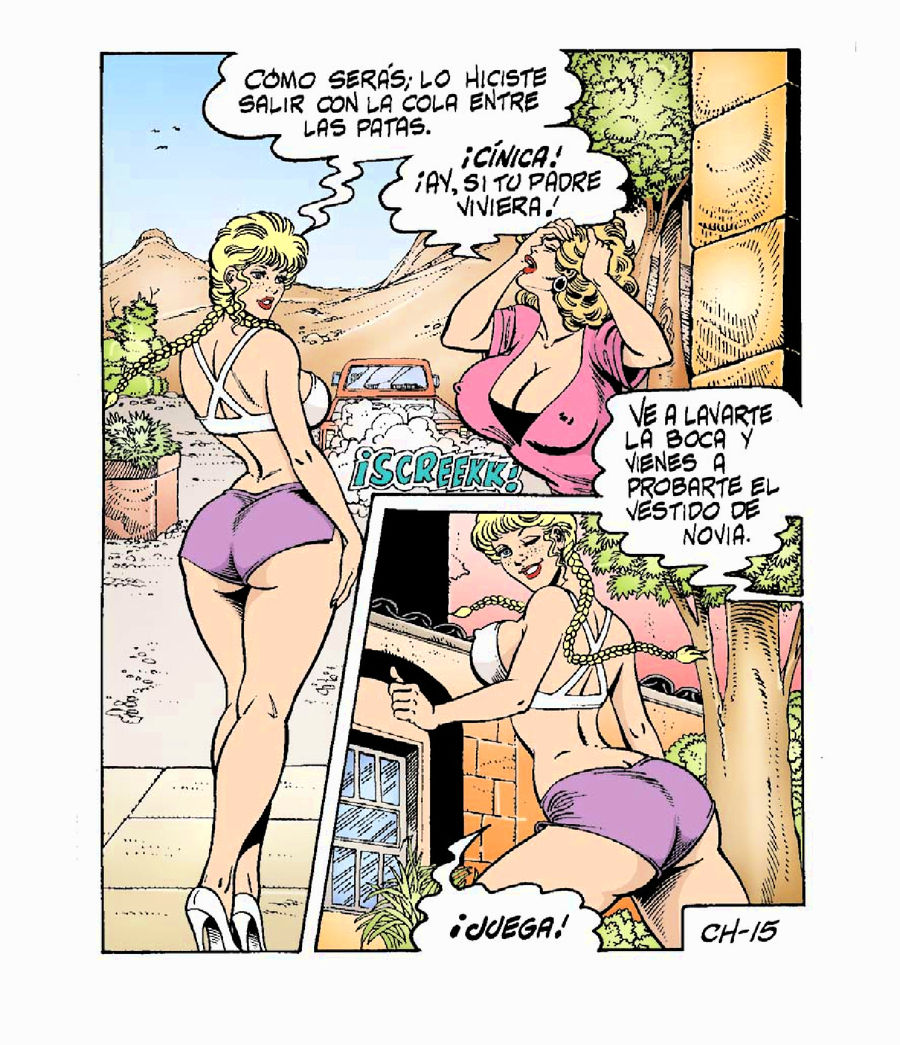 Las Chambeadoras 003 image number 15