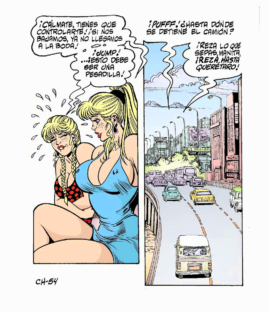 Las Chambeadoras 003 image number 54