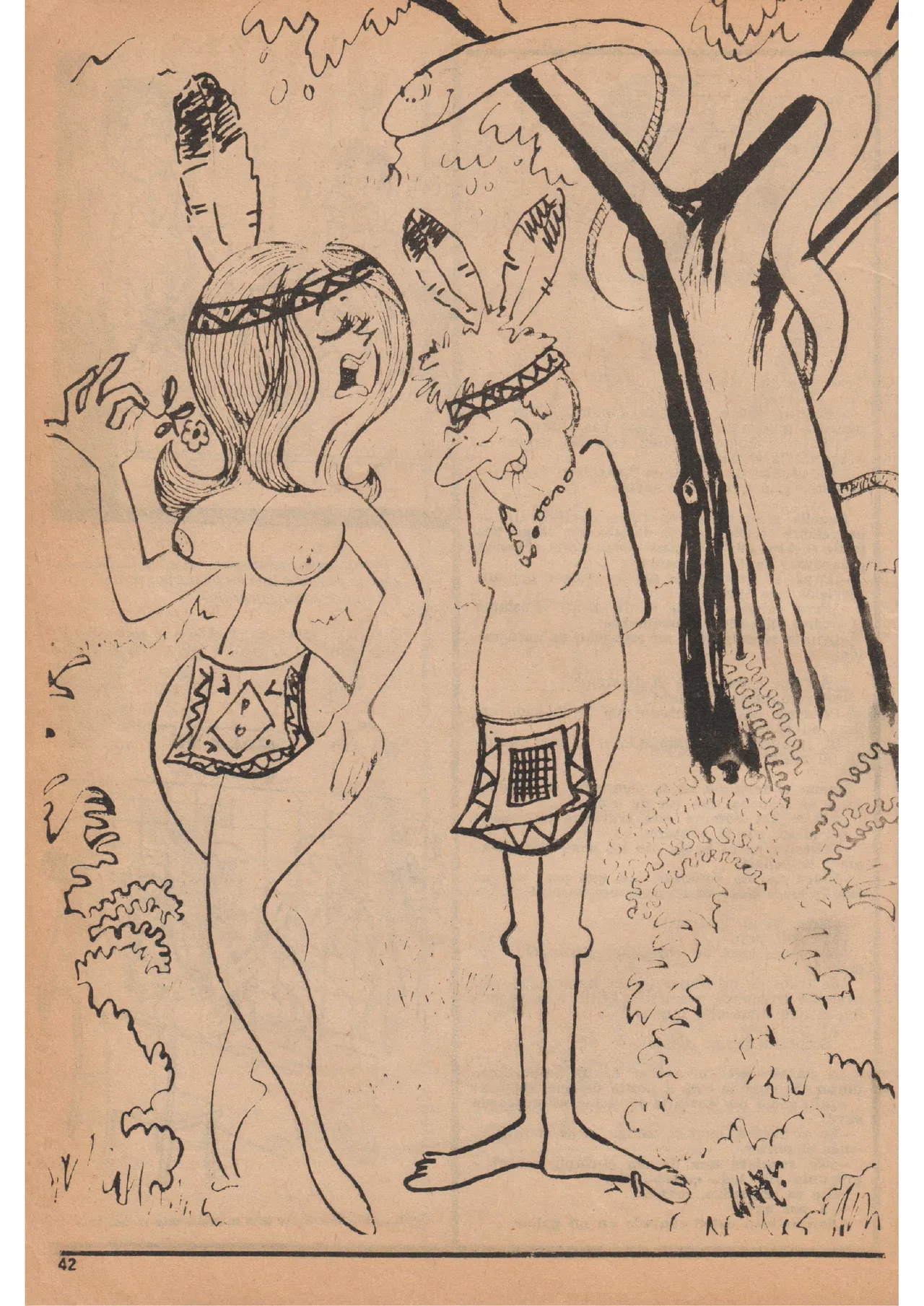 Revista Nat 41 image number 25