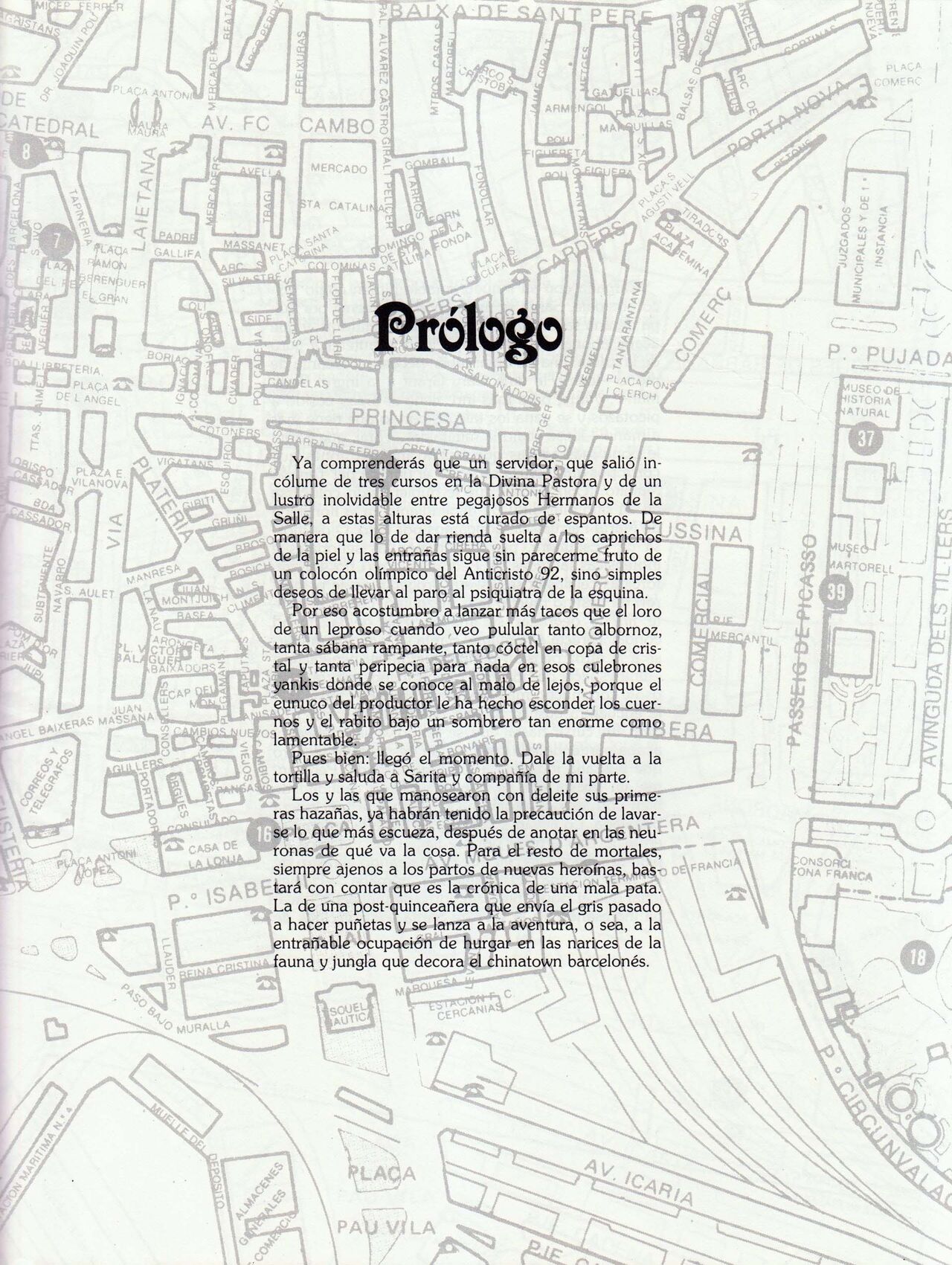 Lumis image number 4