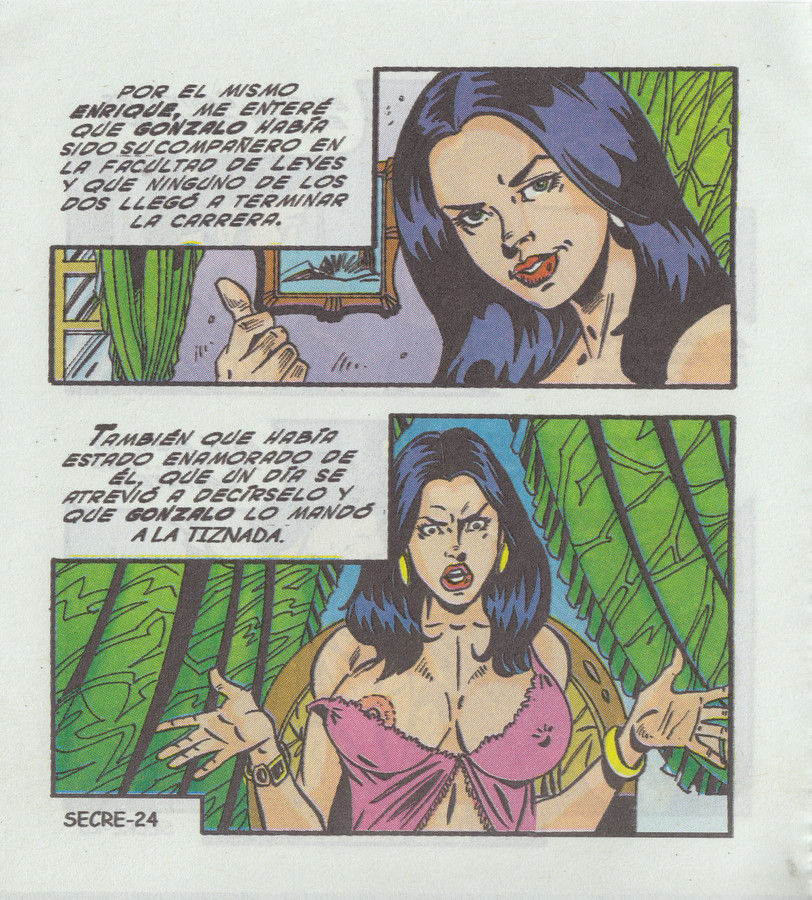 Secretos de Cama 0246 image number 25