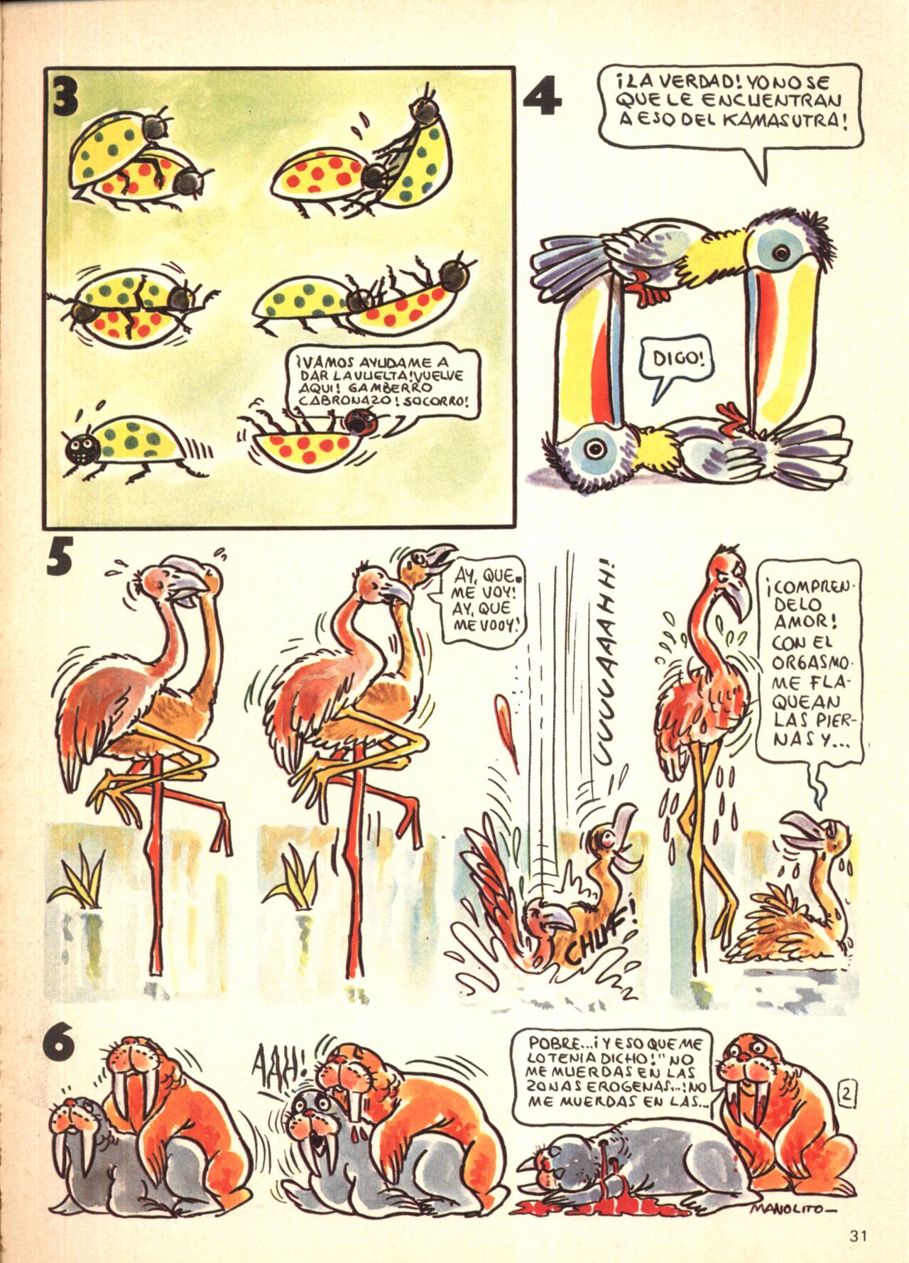 Manolo Show 1 x Carasucia image number 28