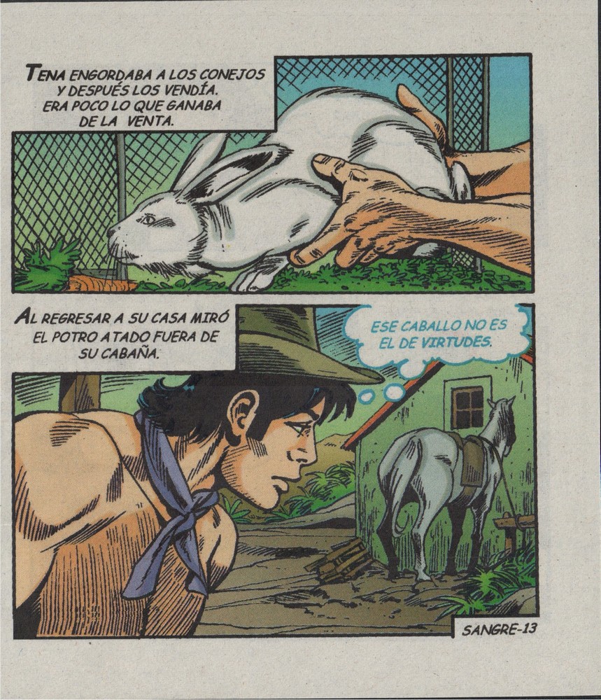 Sangre Caliente 0307 image number 14