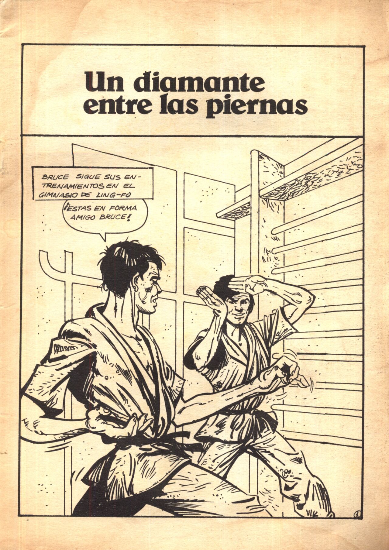 Bruce Seex karateca del sexo n°2 image number 2