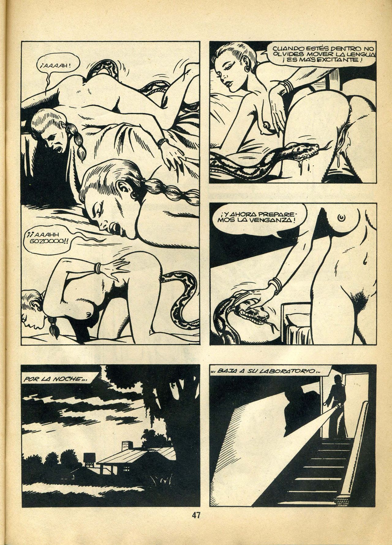 Hembras Peligrosas 18 image number 46