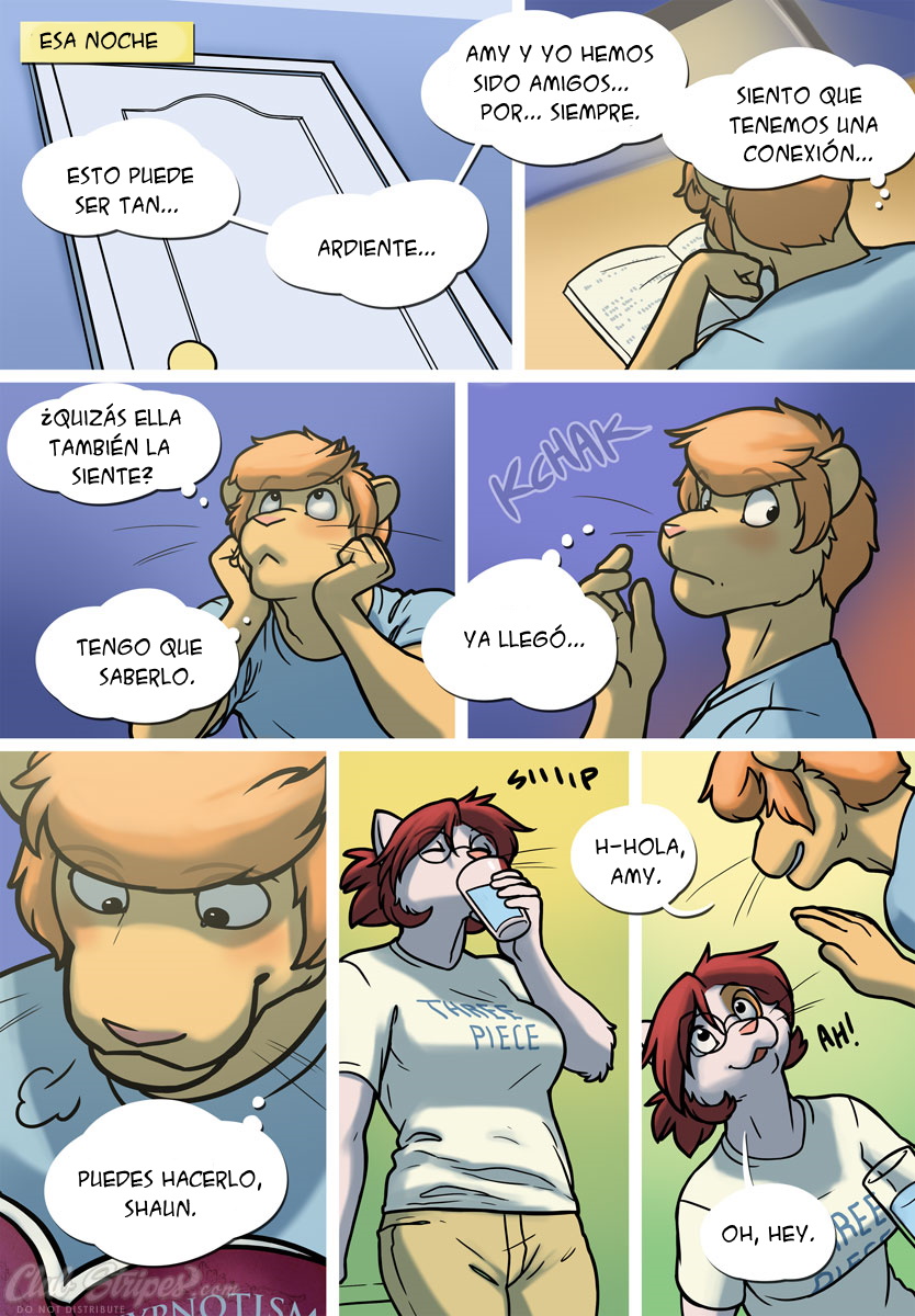 Shortcut -  - image number 10