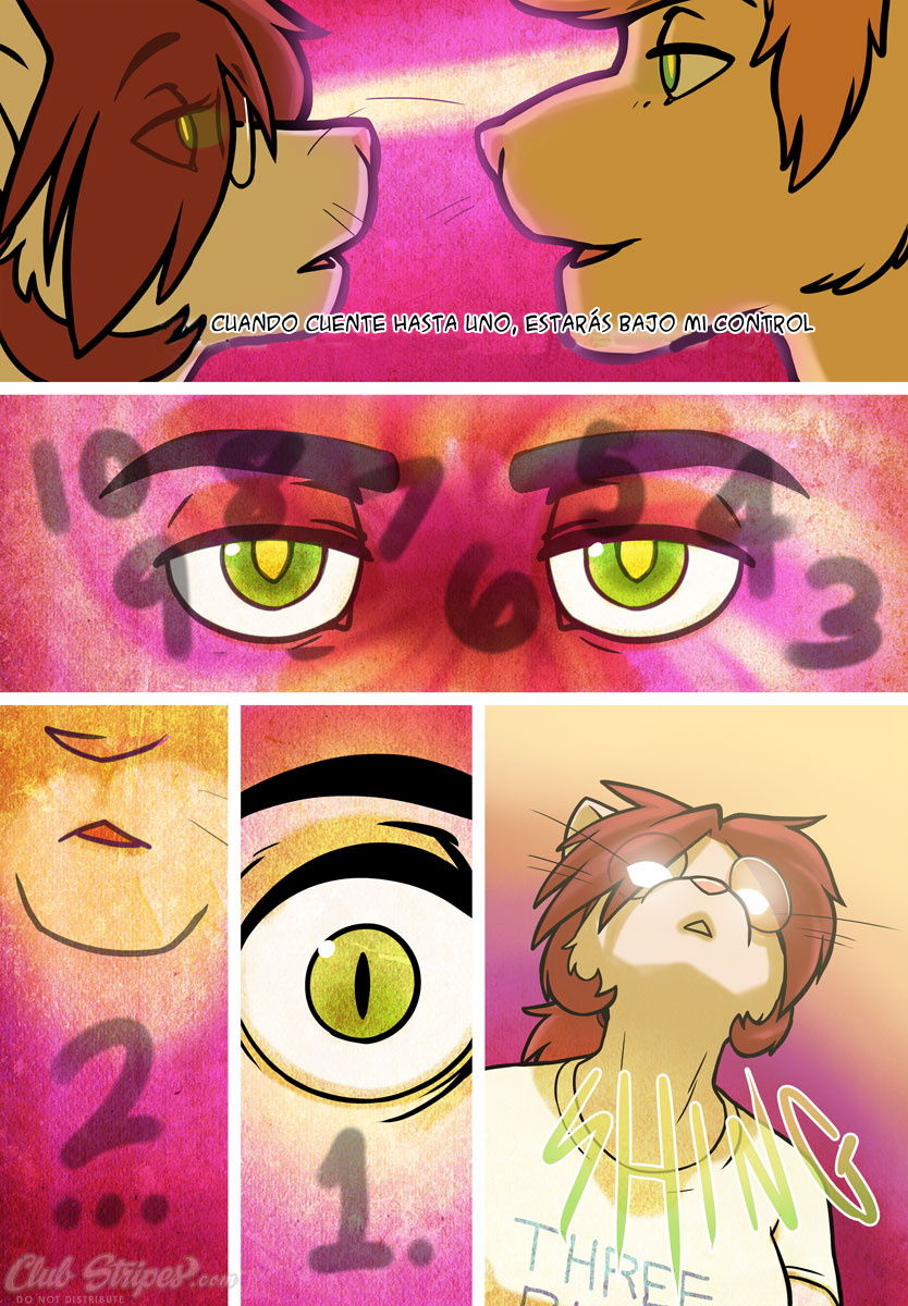 Shortcut -  - image number 14