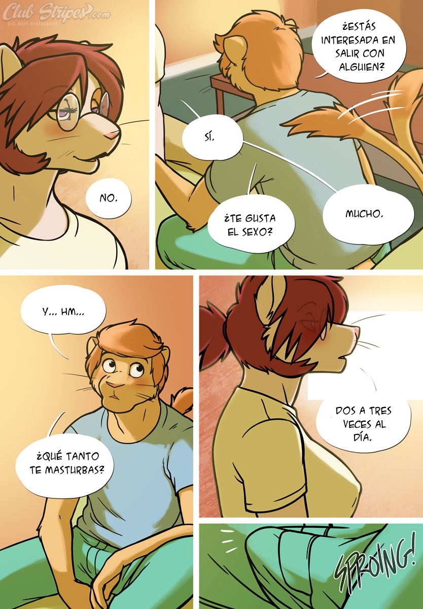 Shortcut -  - image number 16