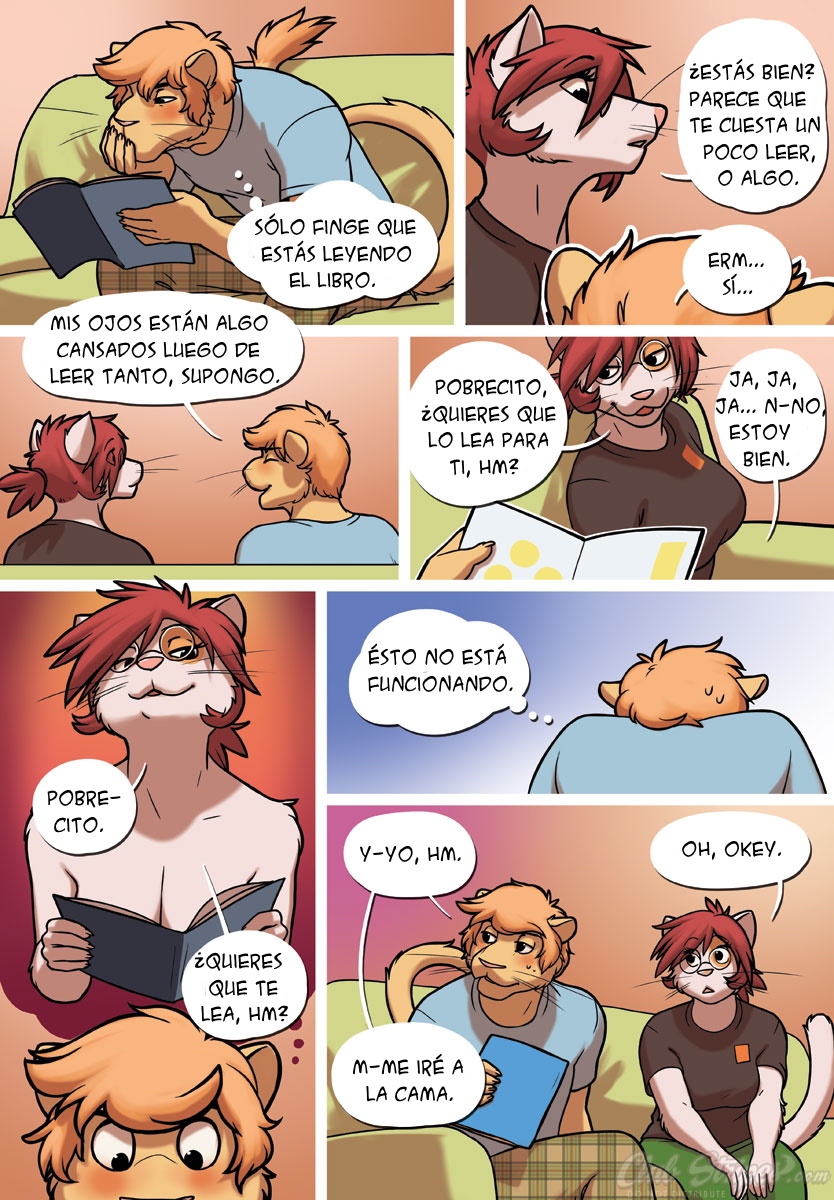 Shortcut -  - image number 3