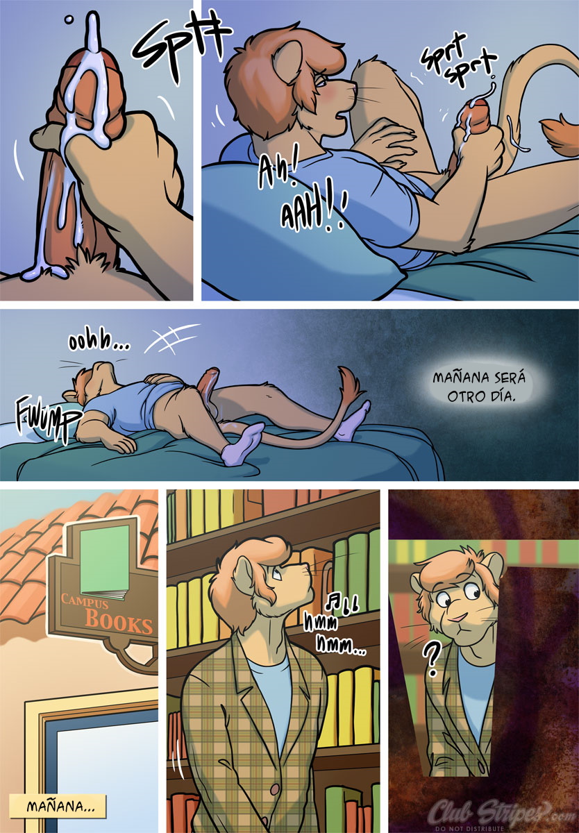 Shortcut -  - image number 7