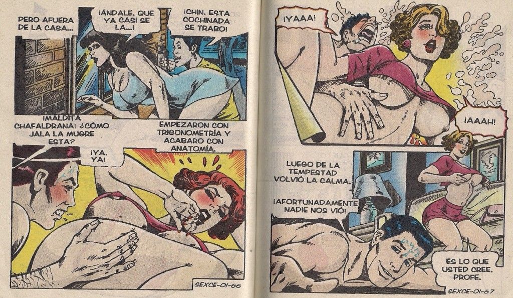 Sexcional Colegialas Y Estudiantes 001 image number 34