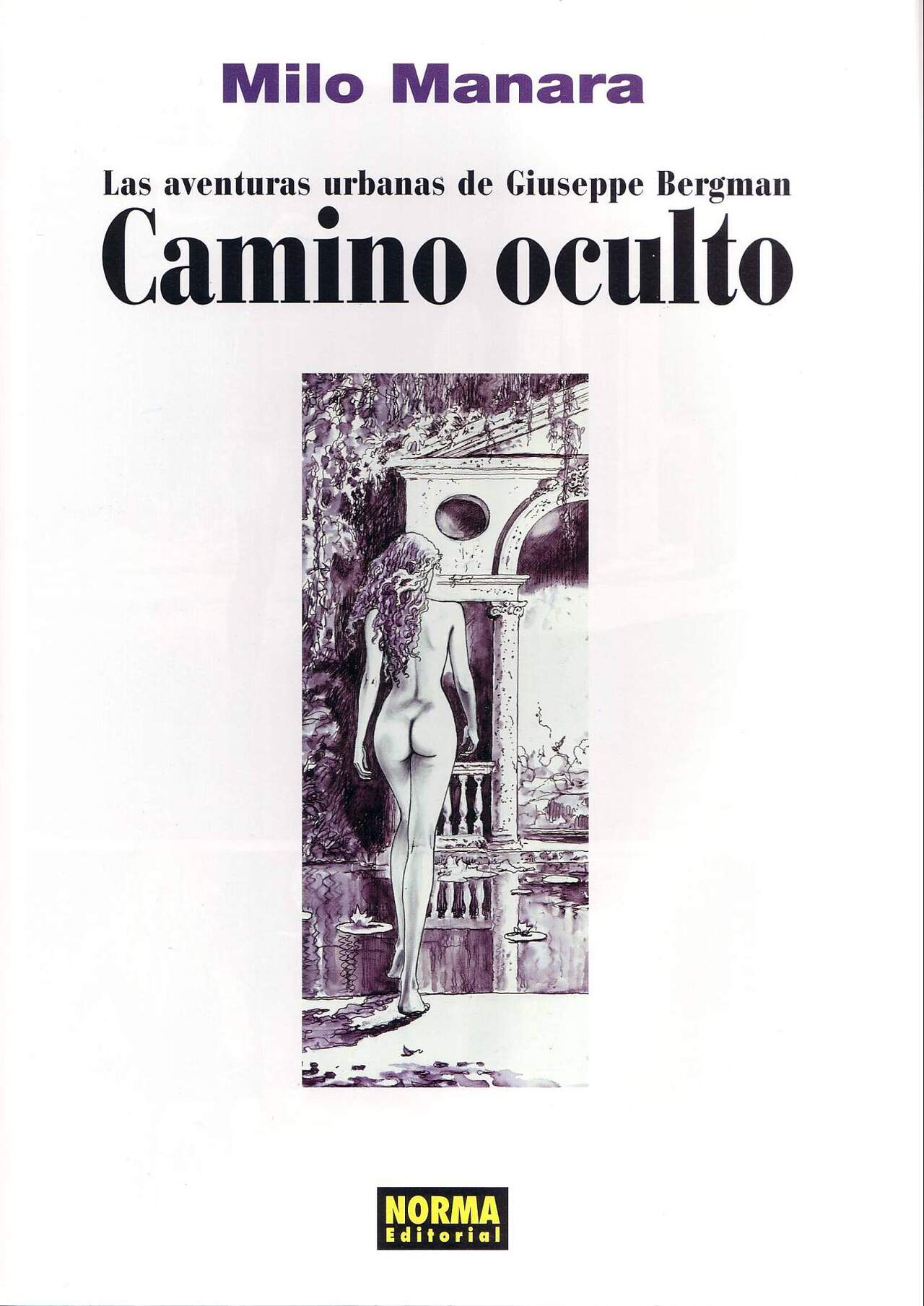 Camino oculto - Las aventuras urbanas de G. Bergman image number 1