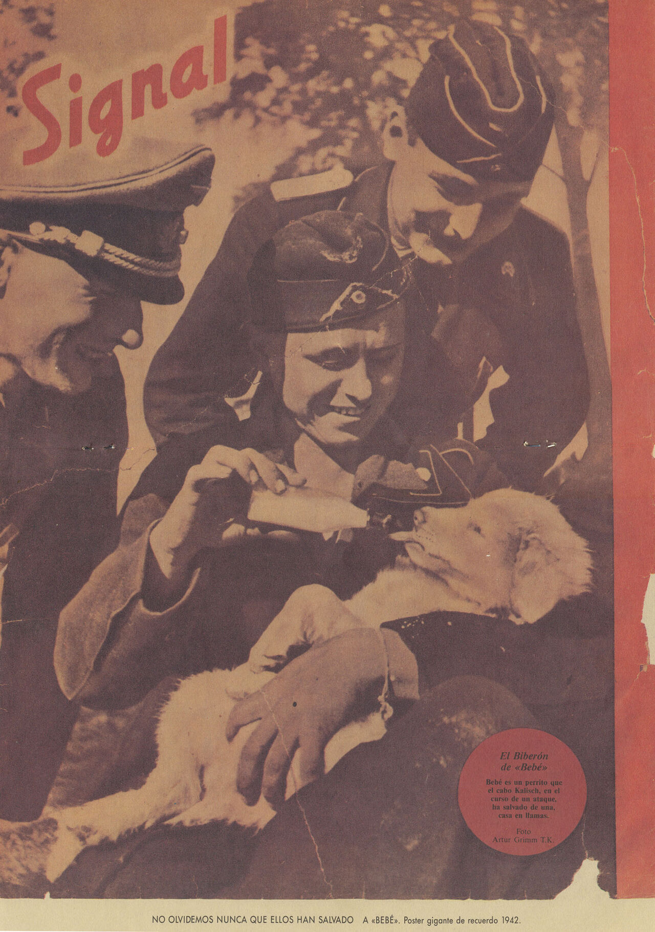 Vuillemin & Gourio - Hitler=SS image number 15