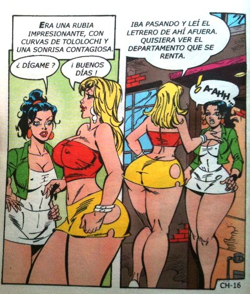 Las Chambeadoras 215 image number 16