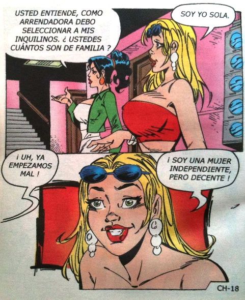 Las Chambeadoras 215 image number 18