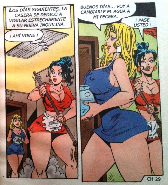 Las Chambeadoras 215 image number 29