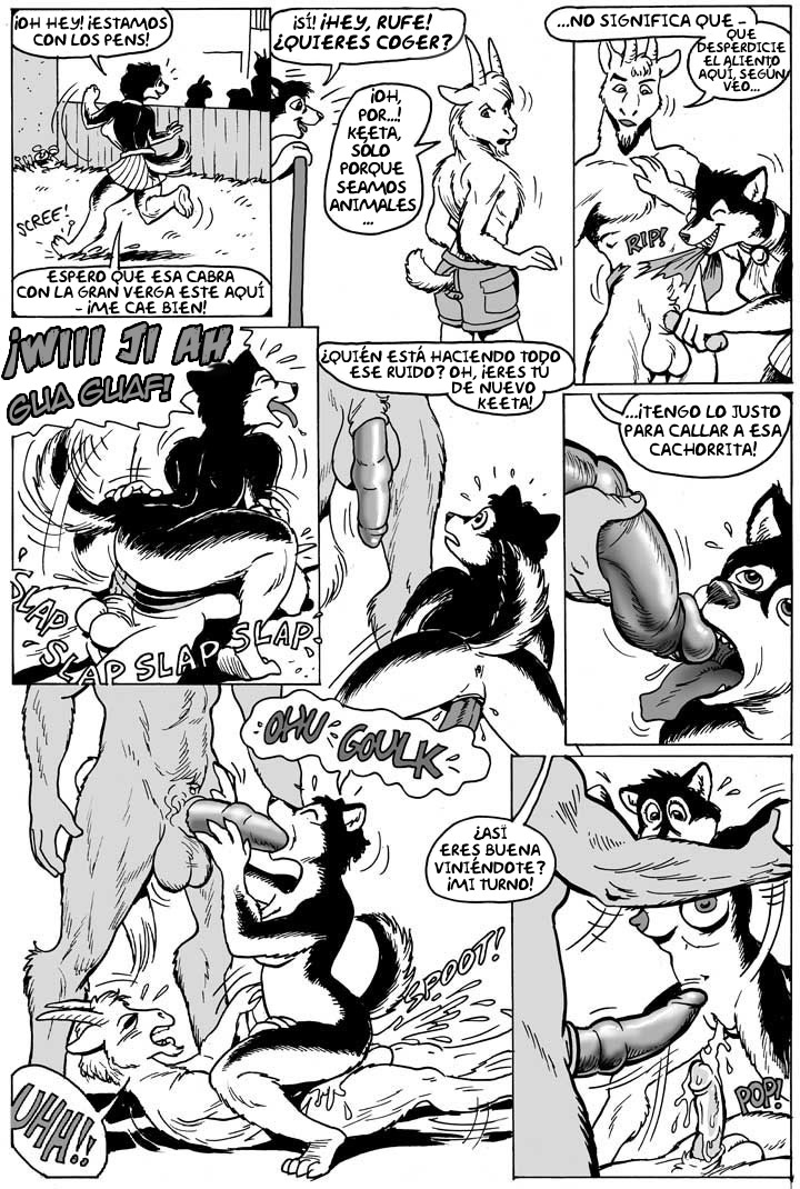 Perros y Caballos image number 15