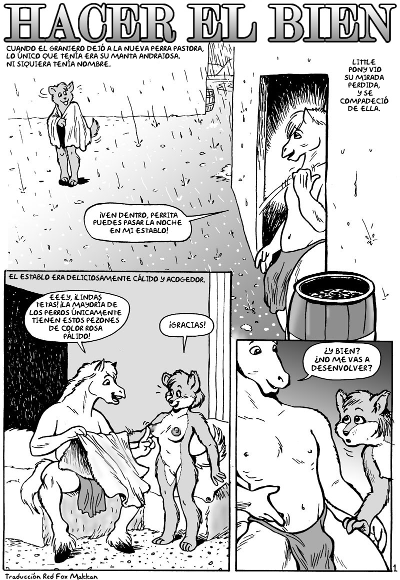 Perros y Caballos image number 19