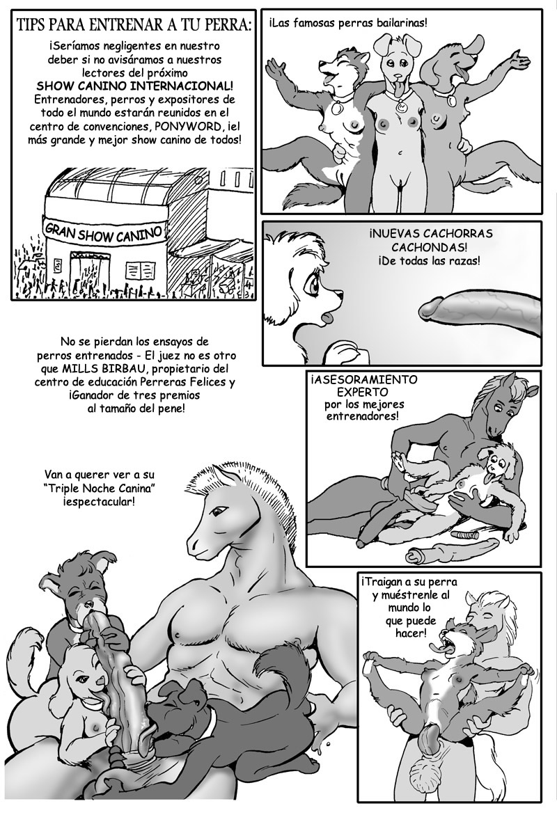 Perros y Caballos image number 50