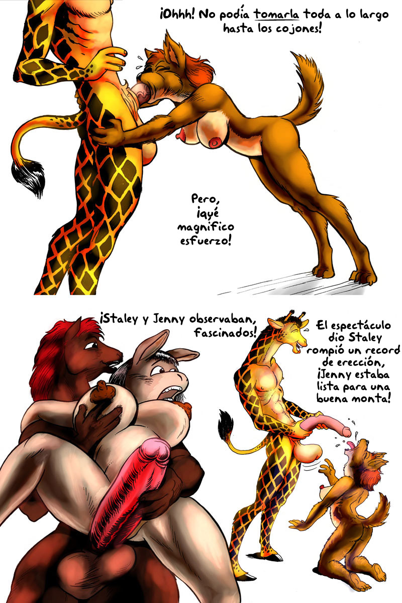 Perros y Caballos image number 58