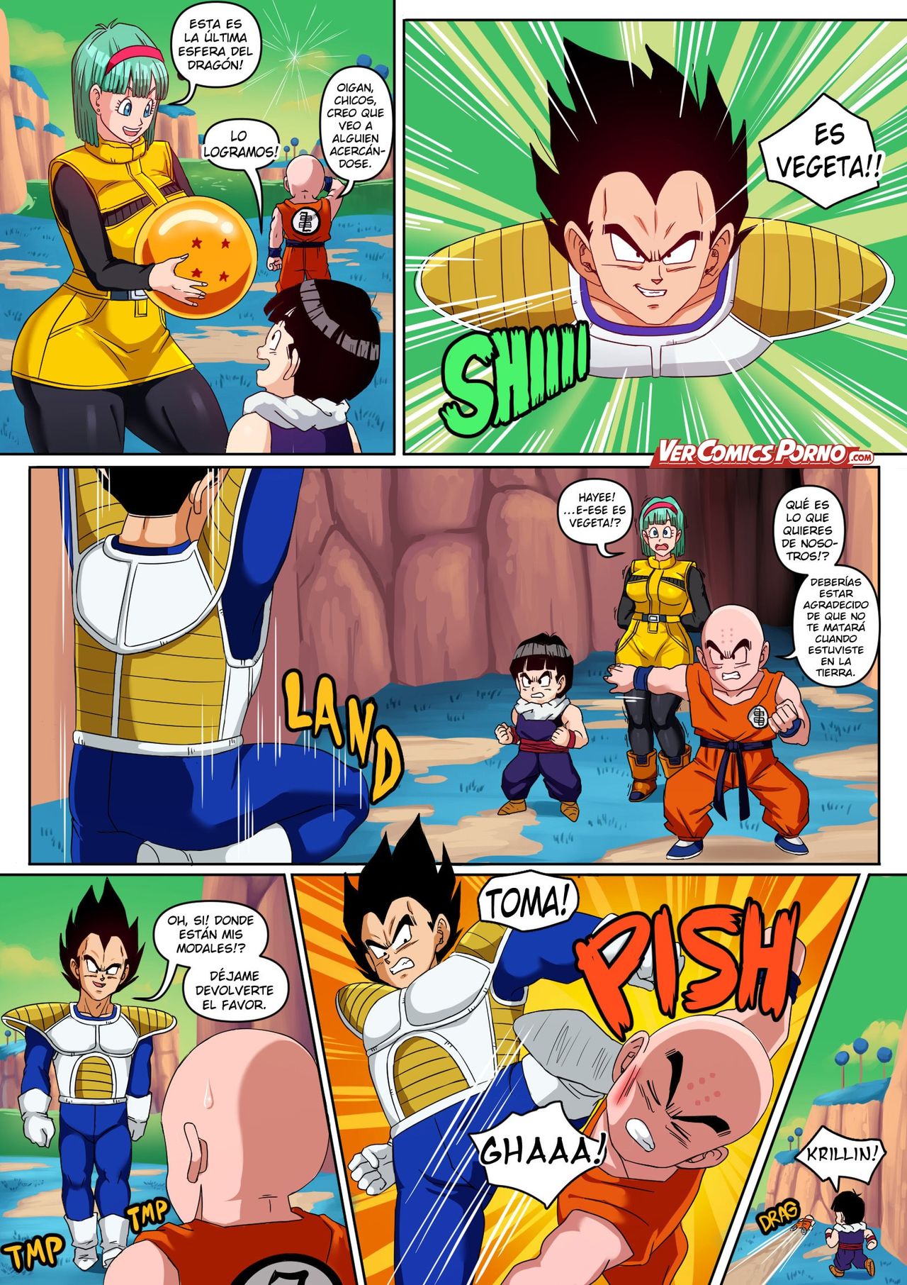 Bulma & Vegeta image number 1
