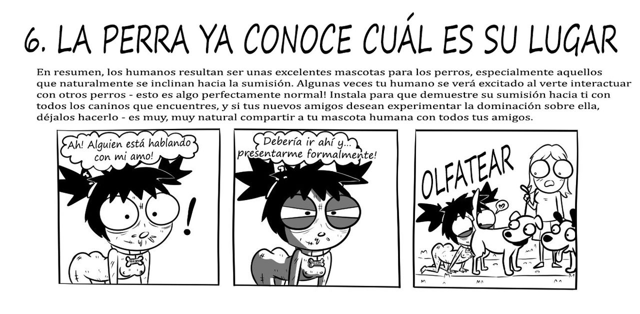 El Amo de Sarah image number 6