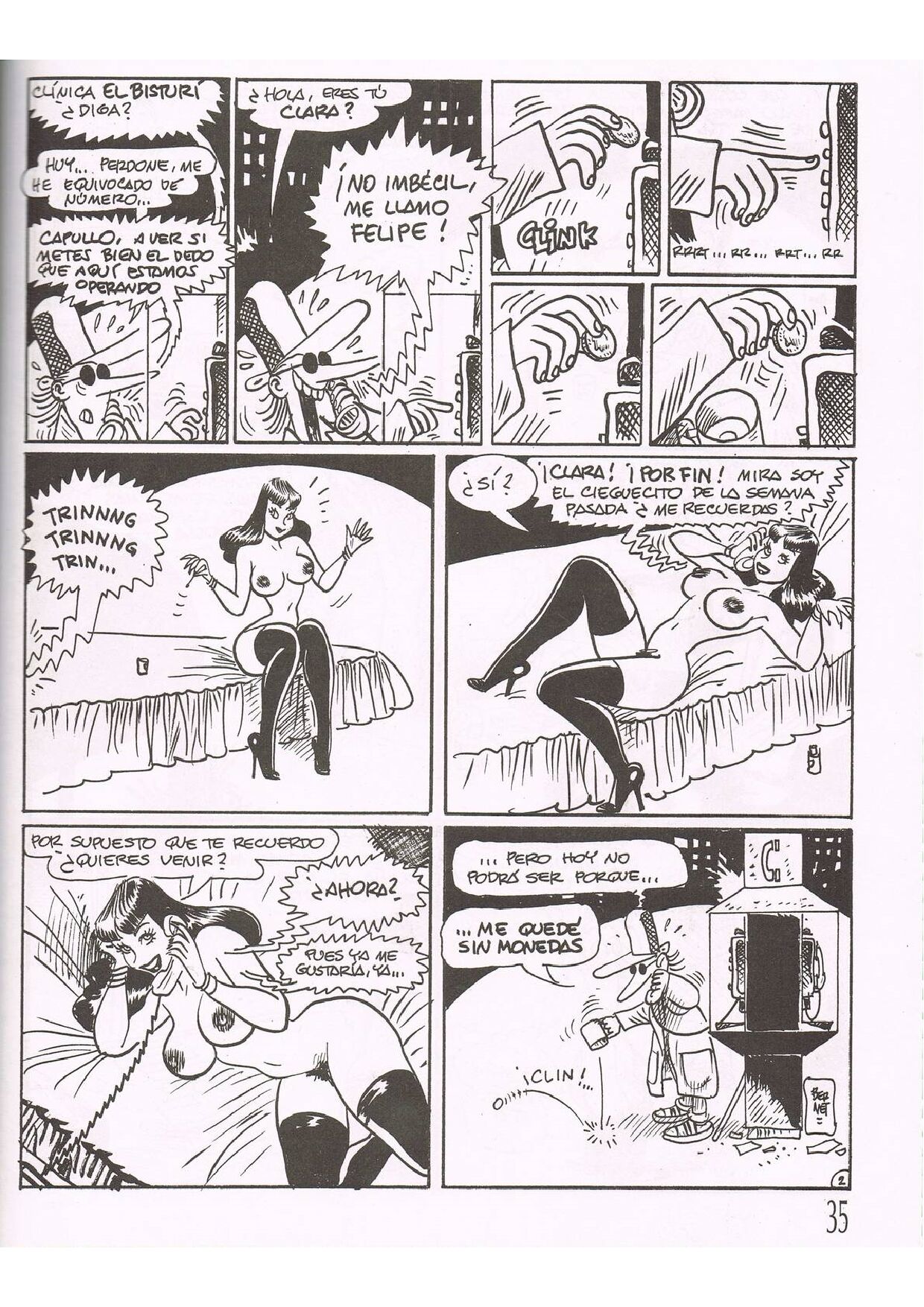 Clara de Noche image number 33