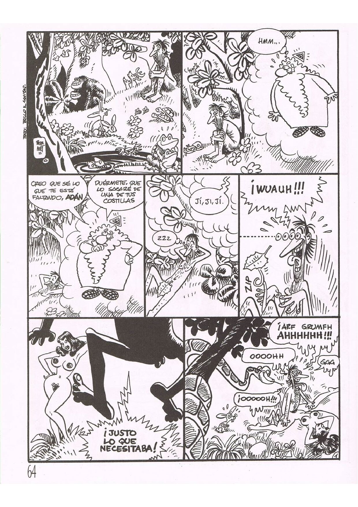 Clara de Noche image number 62