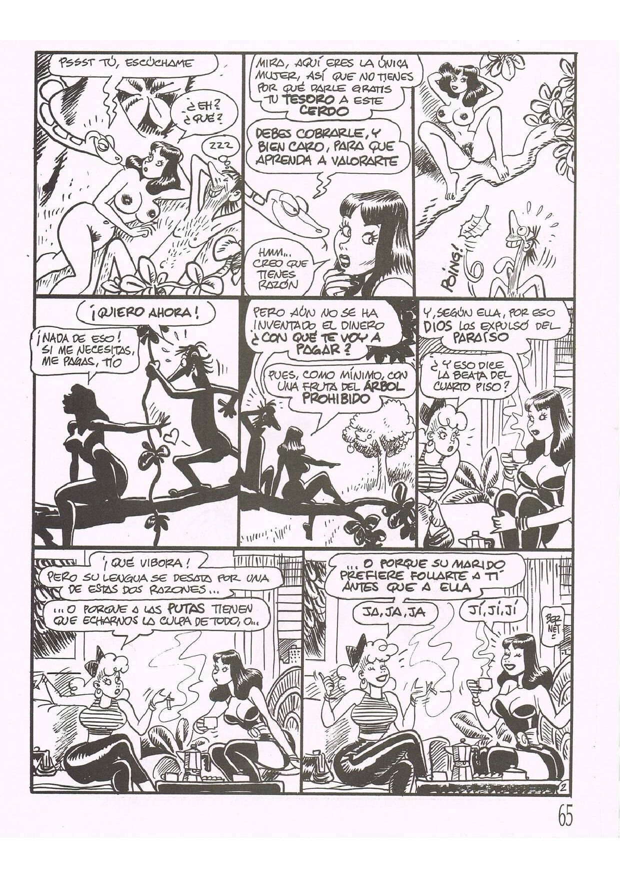 Clara de Noche image number 63