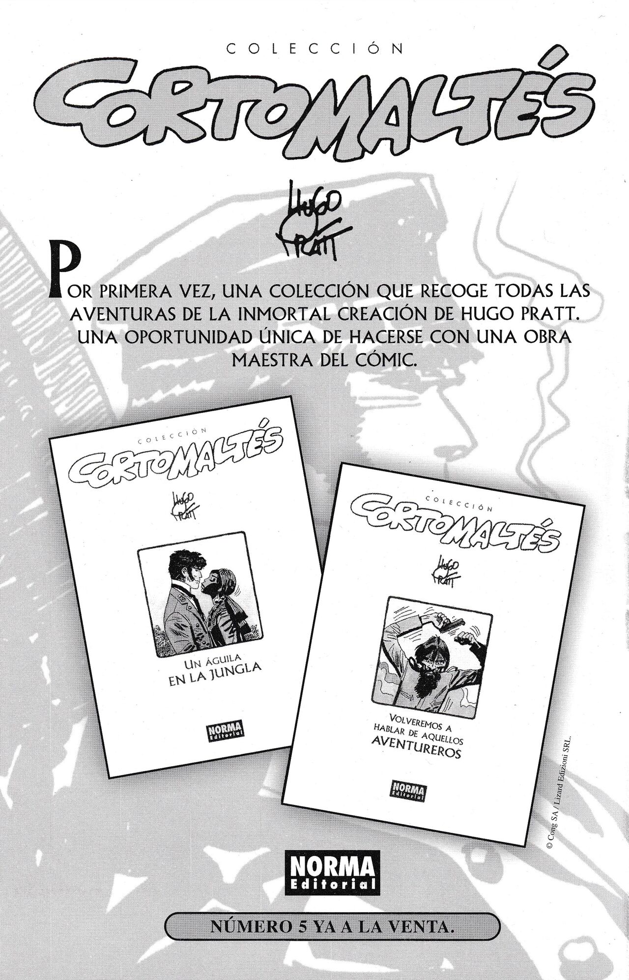 Verano Indio 3 image number 57
