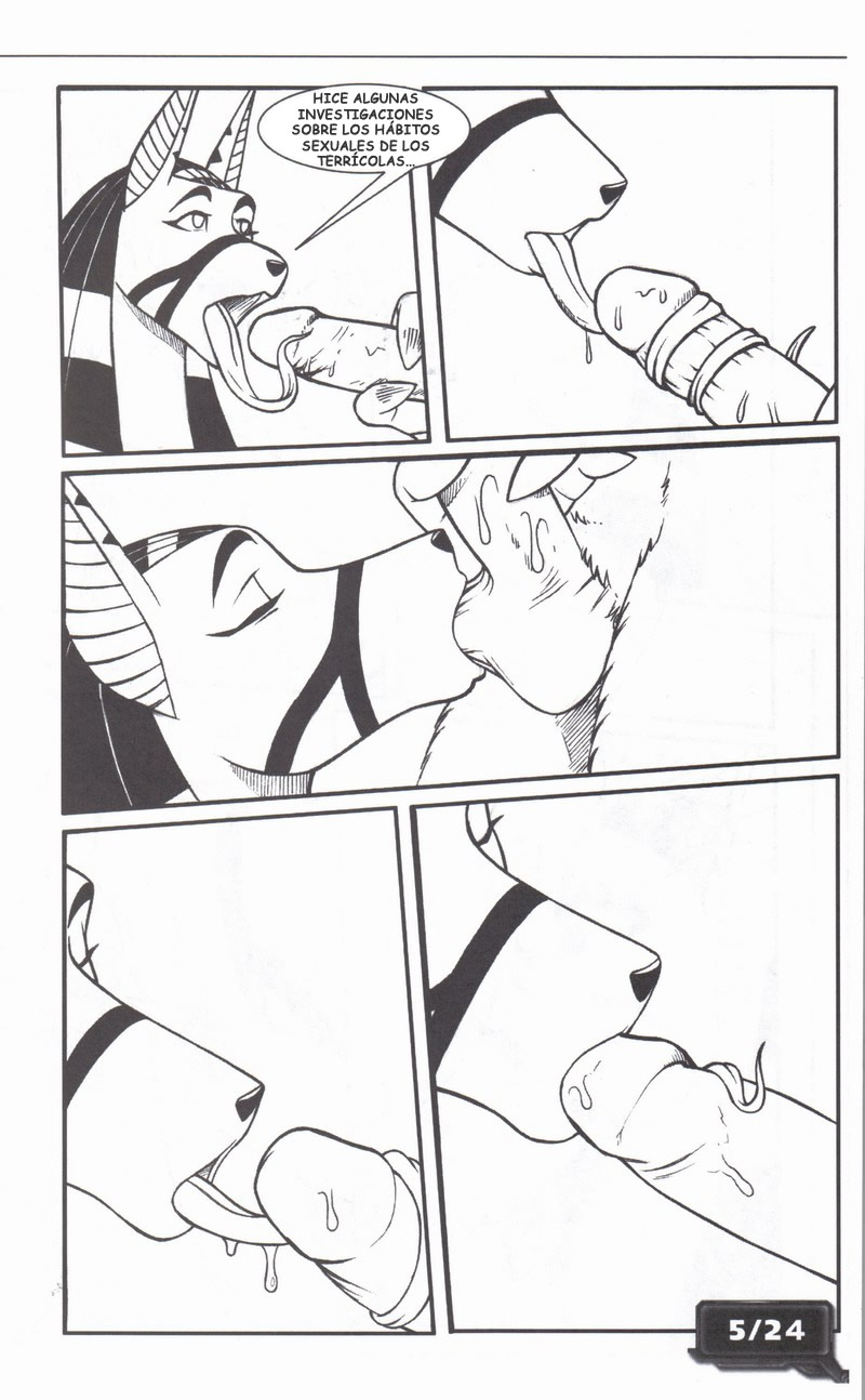 Zoorama 2 image number 5