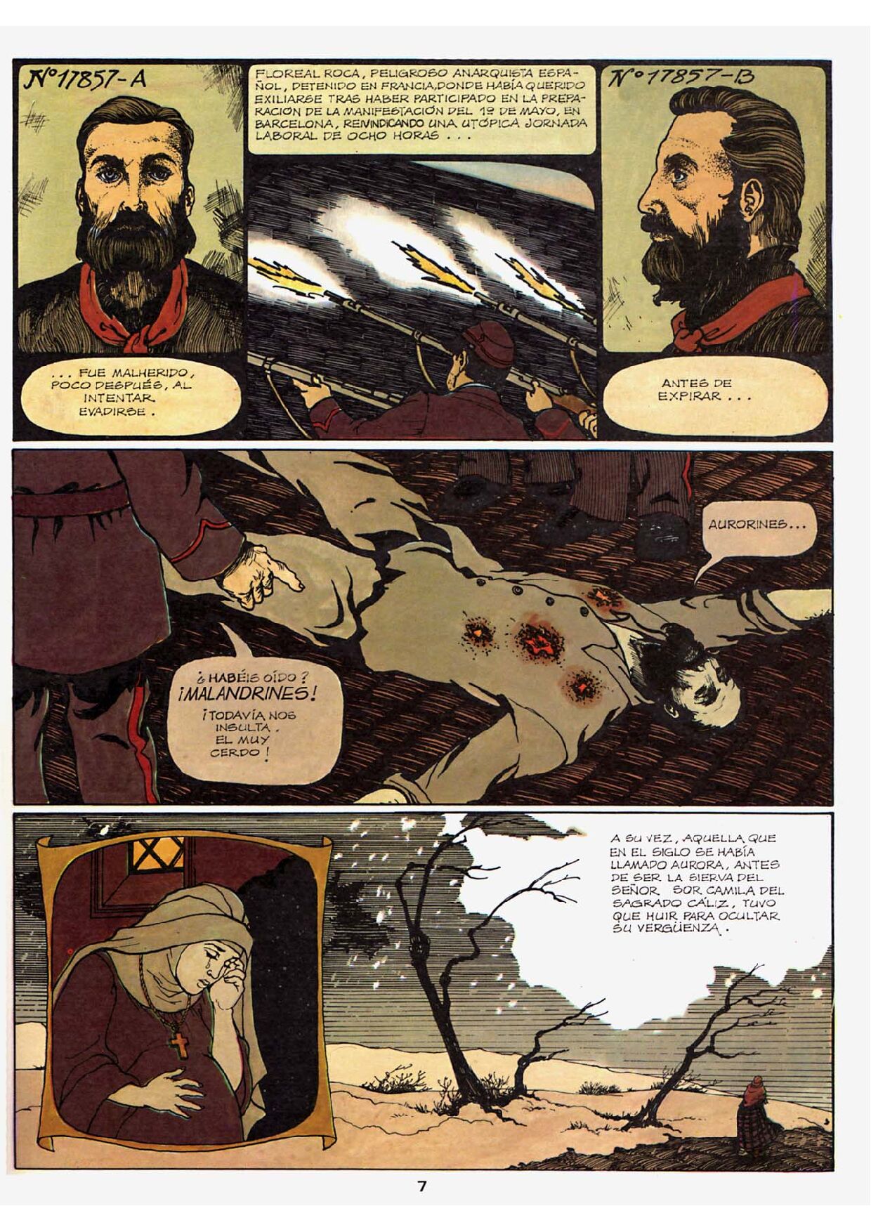 Felina image number 5