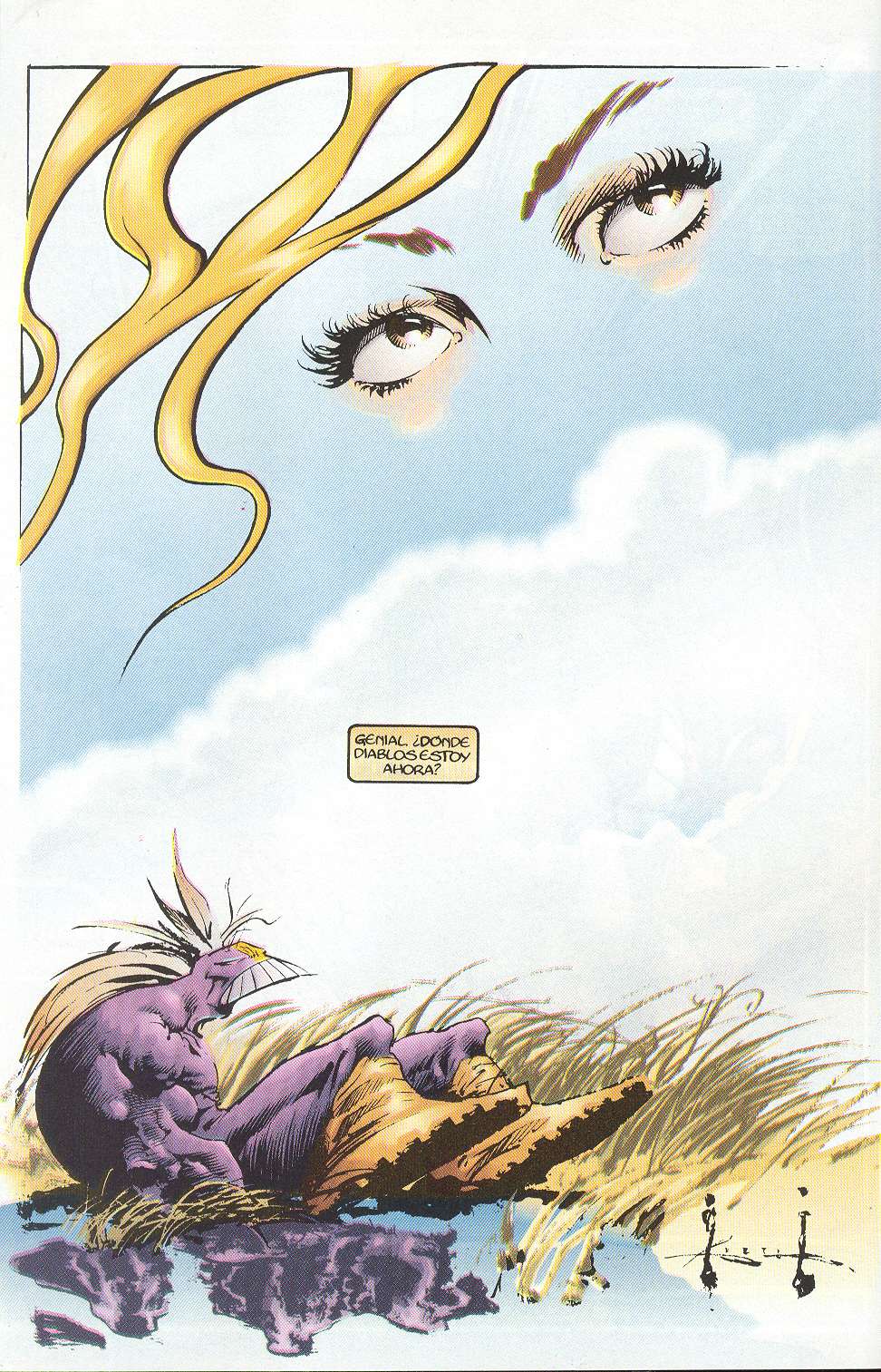 The Maxx VOL.1 image number 9