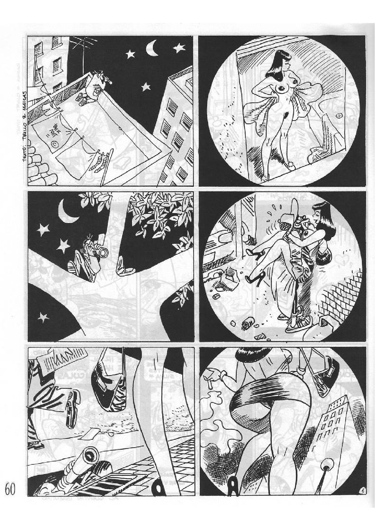 Clara de Noche image number 58