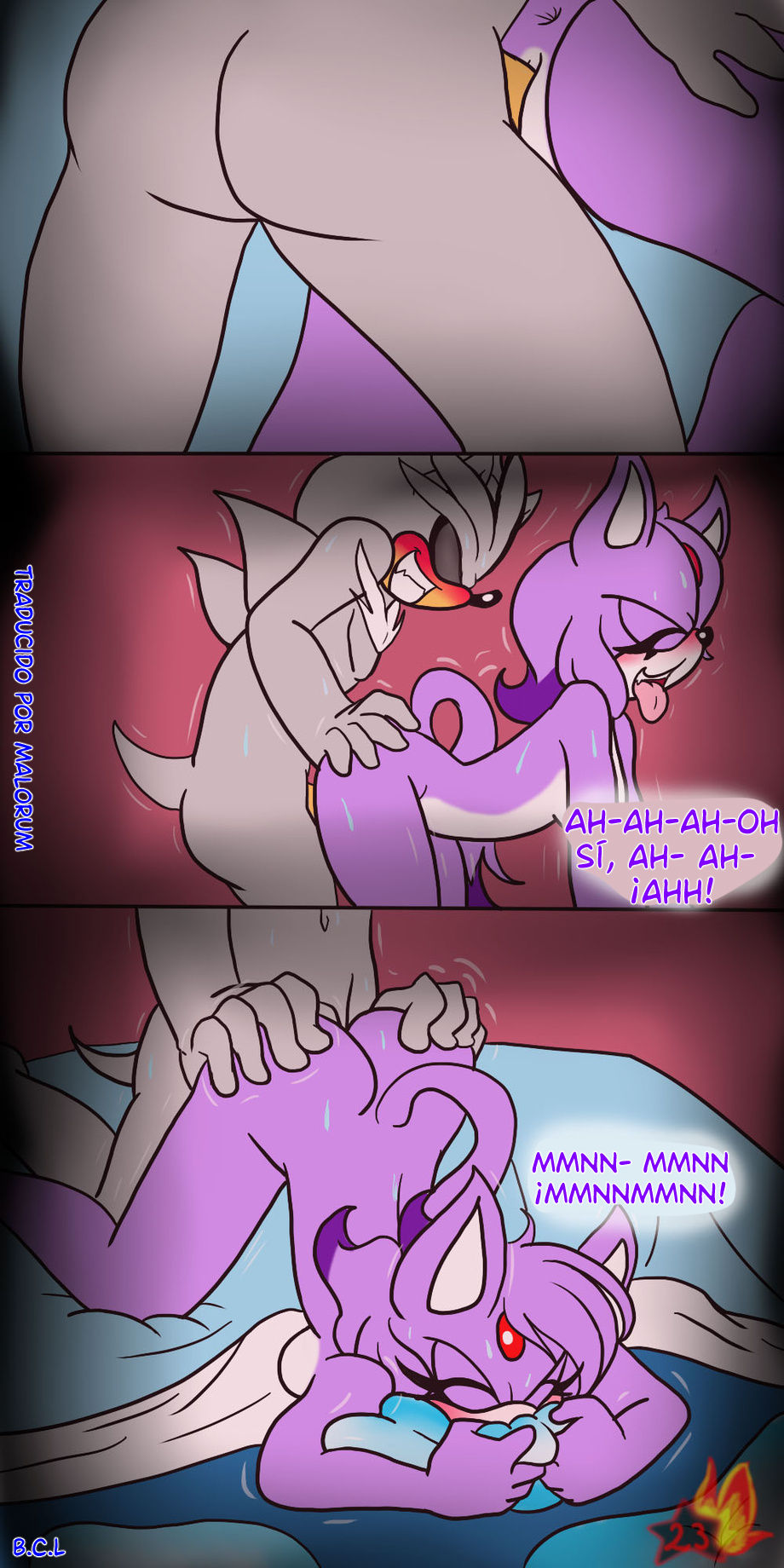 Silvaze image number 22