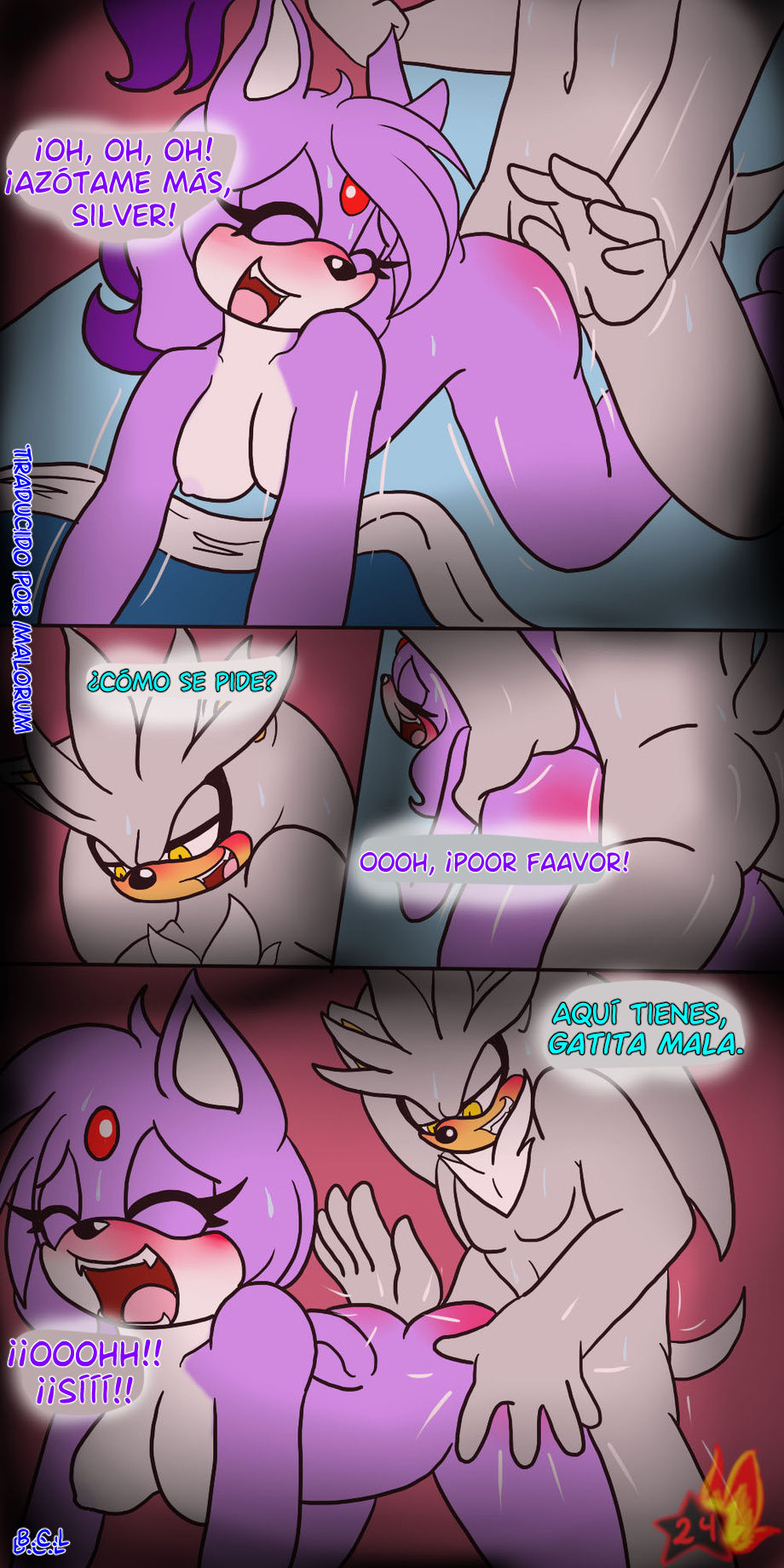 Silvaze image number 23