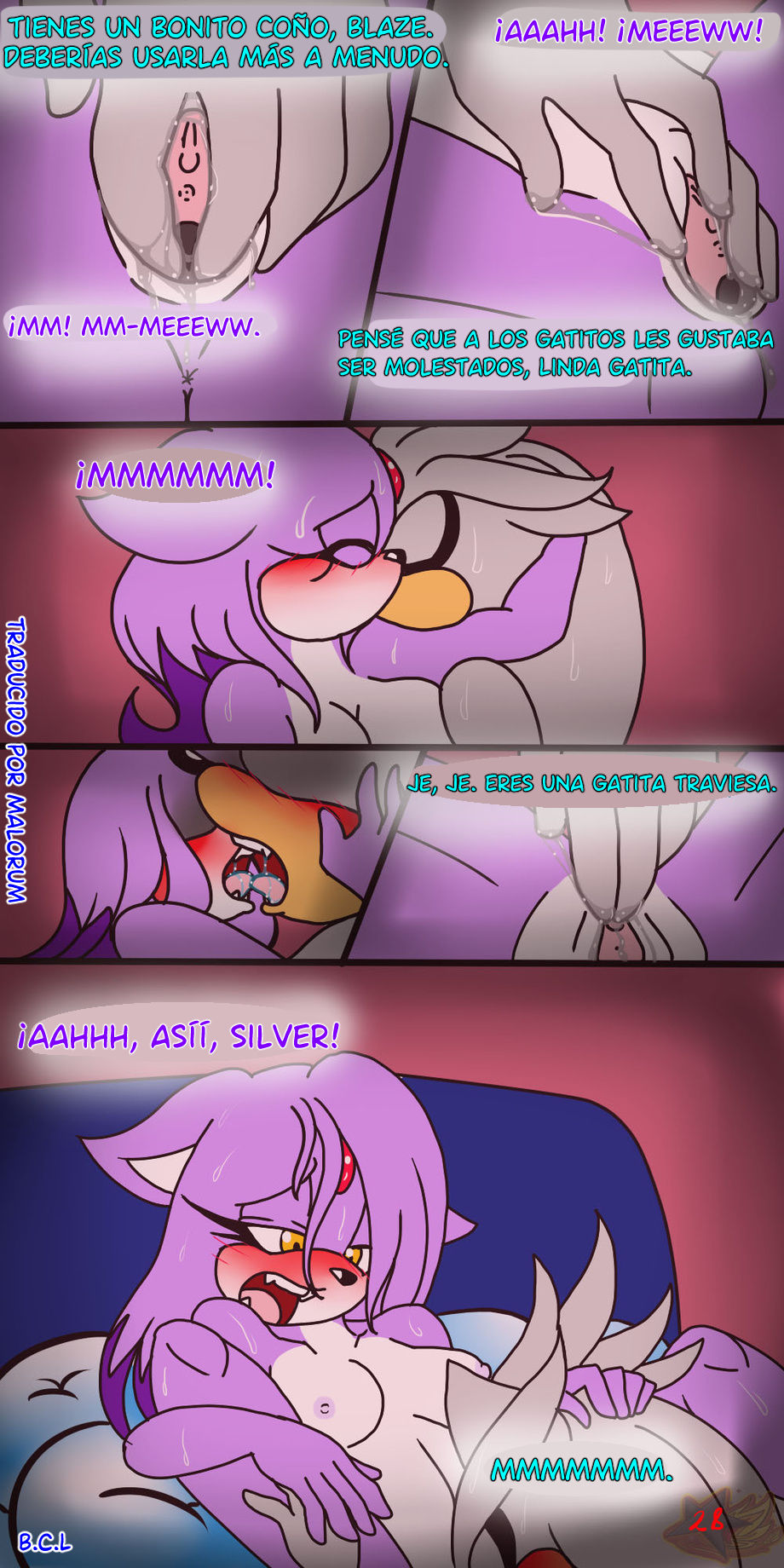 Silvaze image number 53