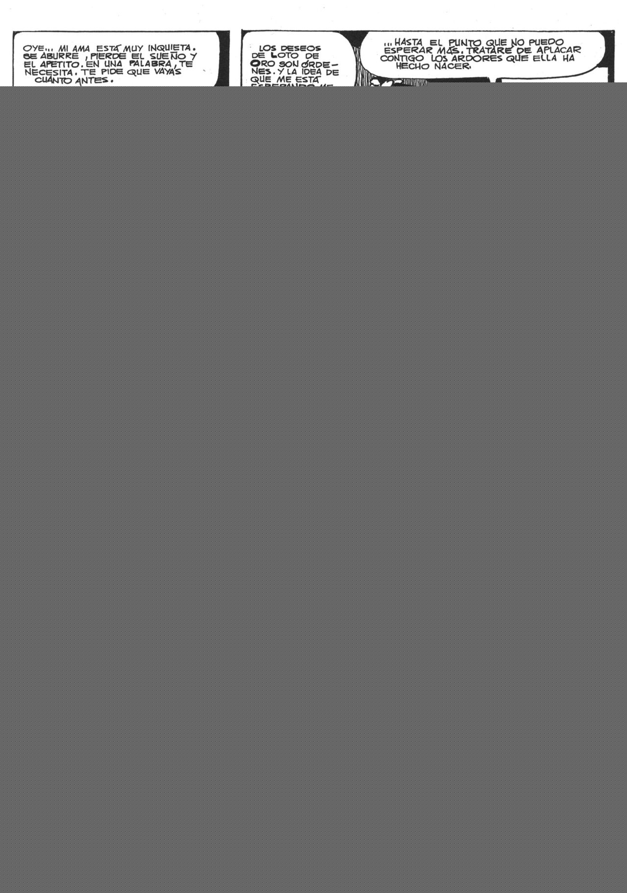 Flor de Loto image number 16