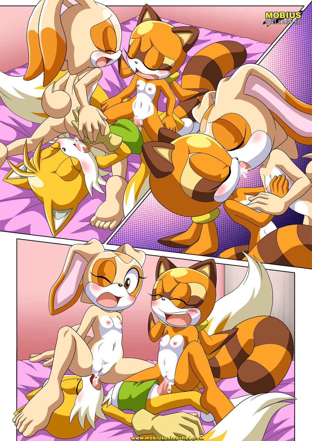 Tails and Cream 2 image number 10