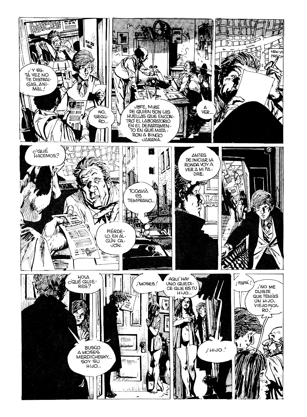 Merdichesky image number 12