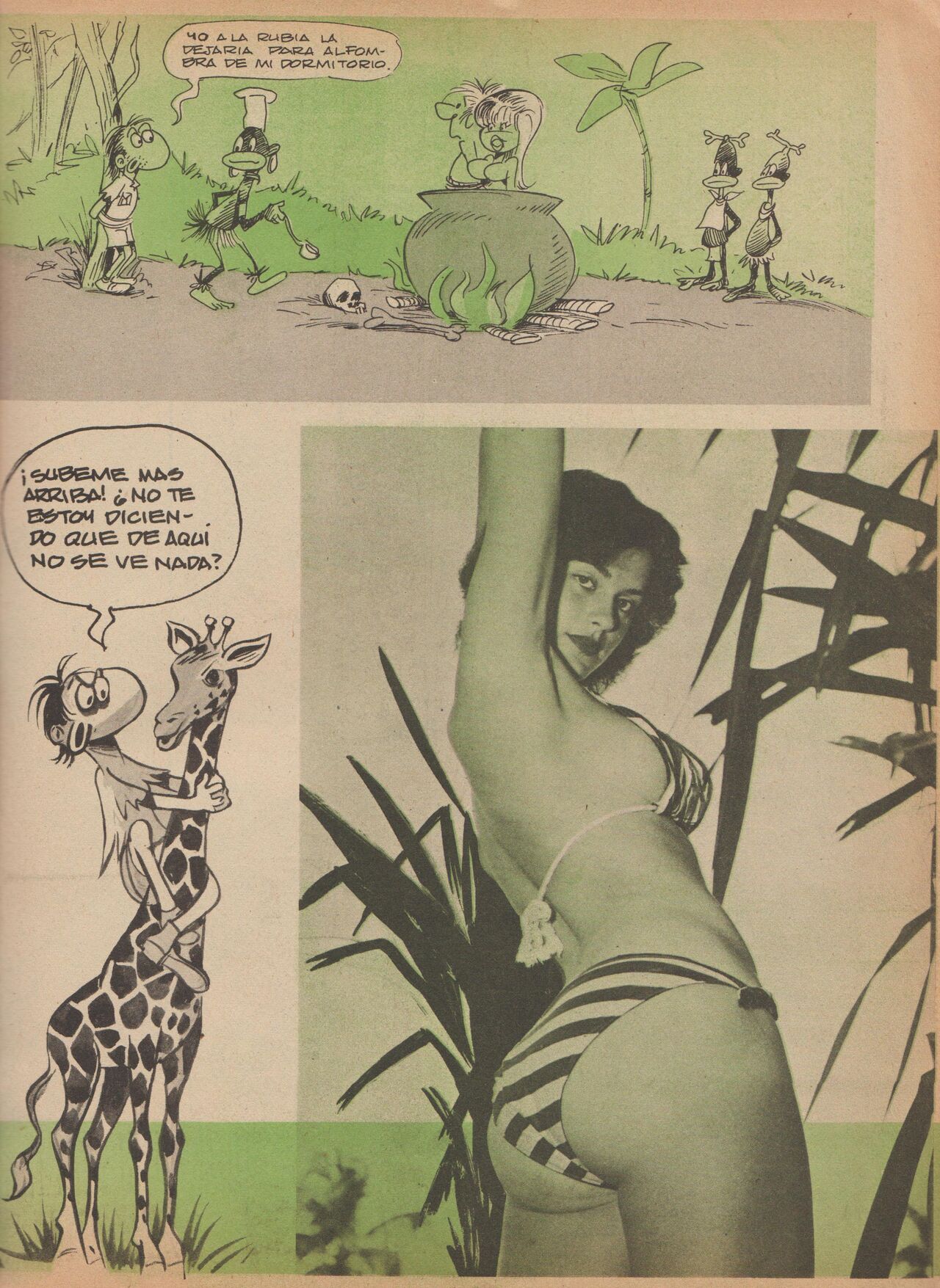 Pepe Antartico 031 image number 32