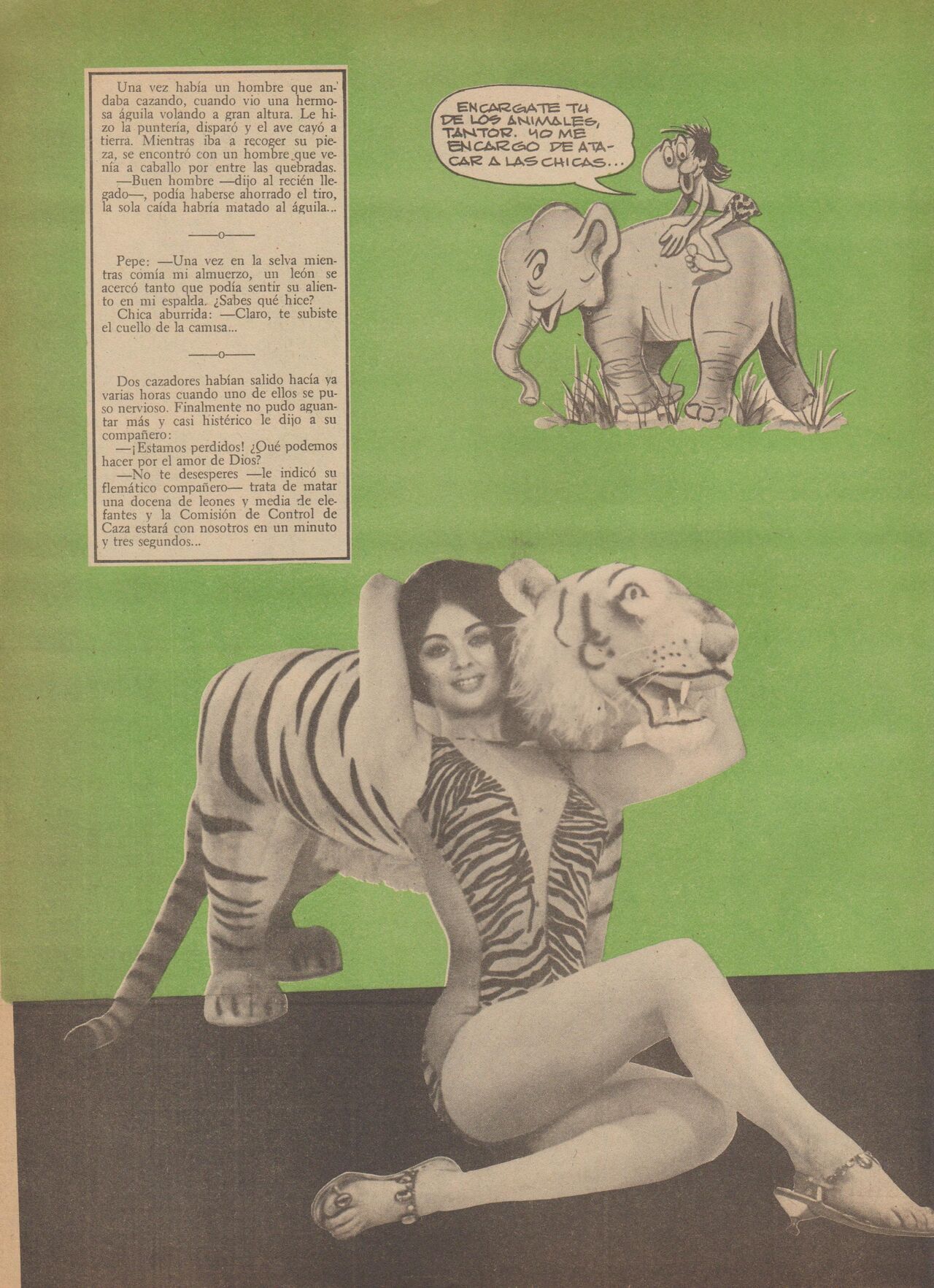 Pepe Antartico 031 image number 33