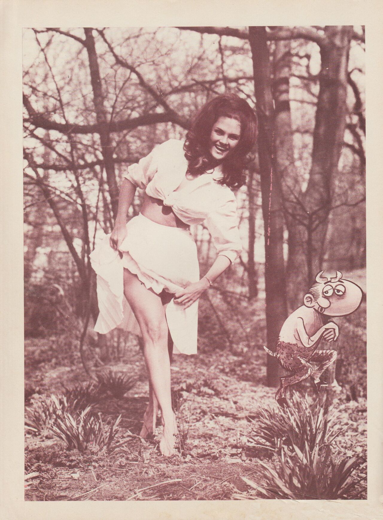 Pepe Antartico 031 image number 1