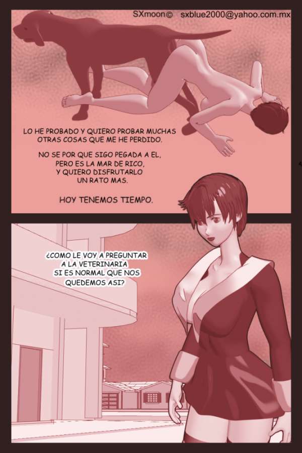SIN DECIRLO image number 40