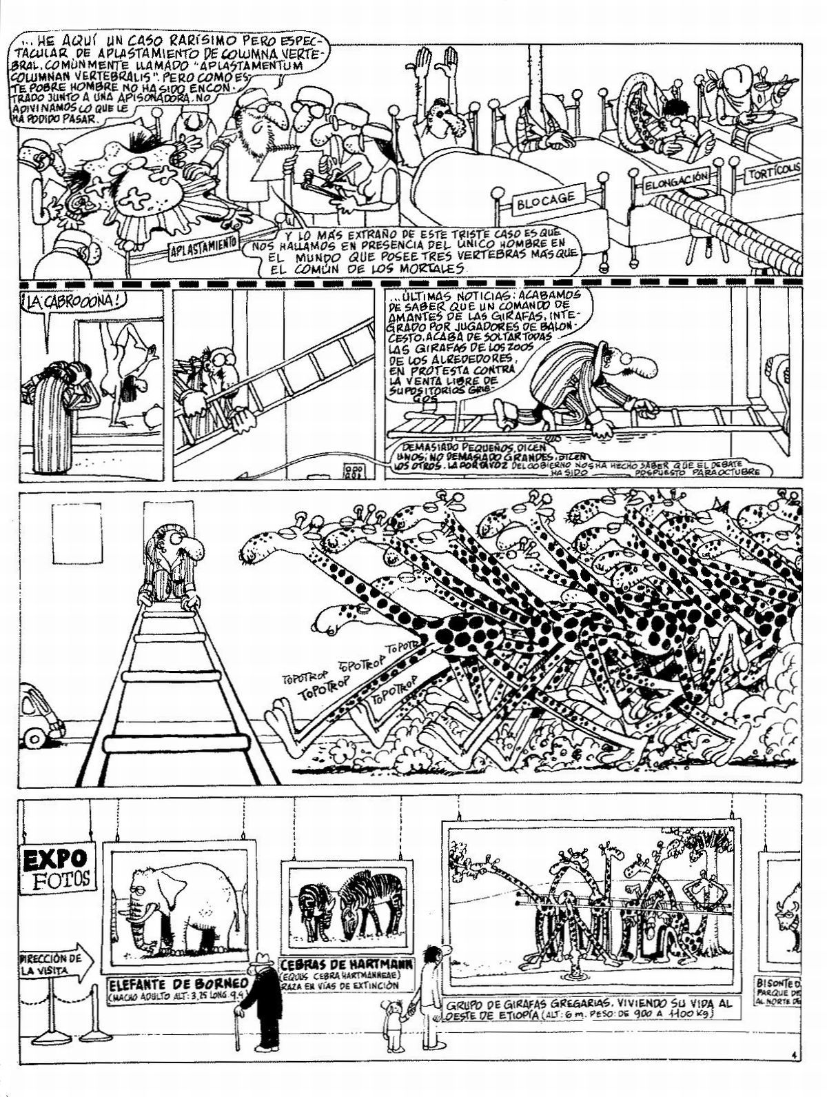 Los mejores cuentos de Edika 1 image number 27