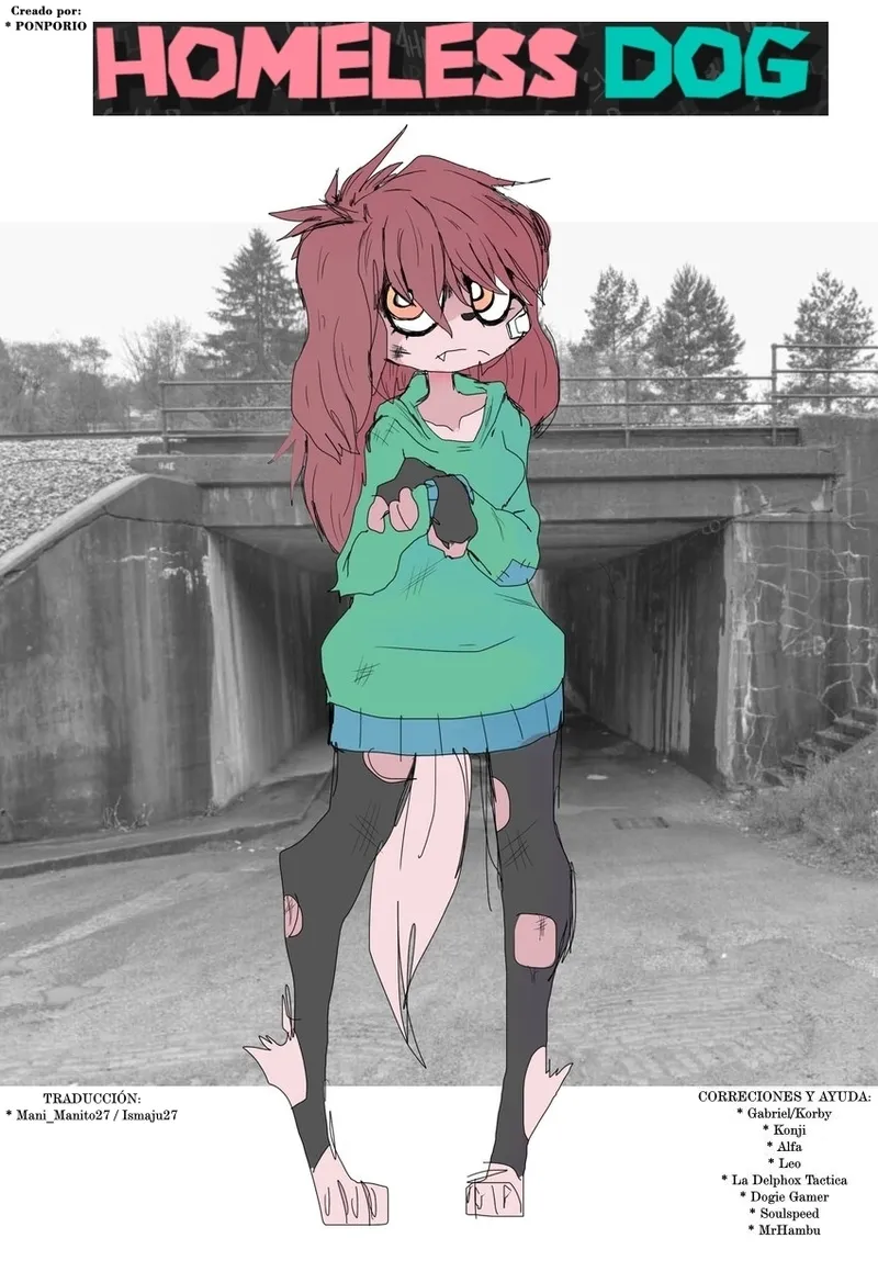 Homeless Dog