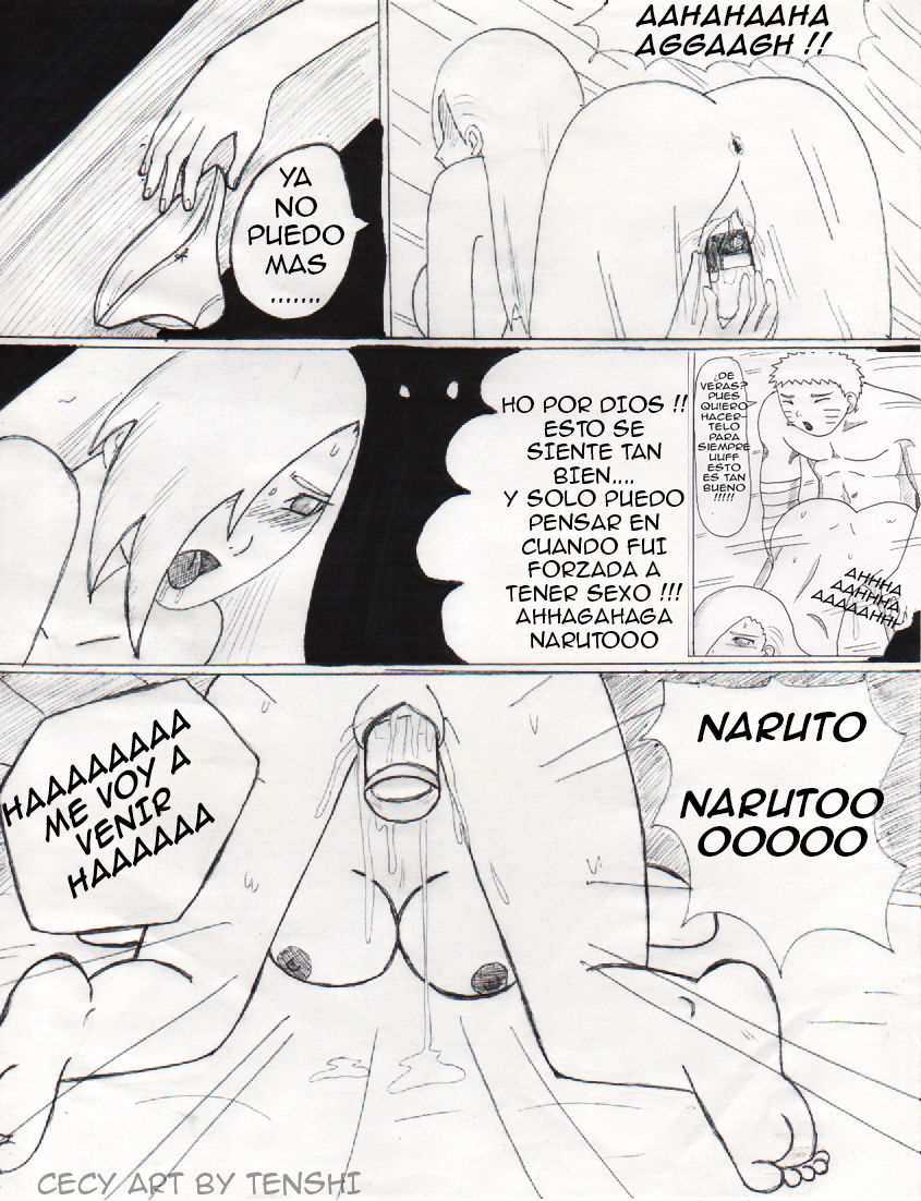 El Zorro y la Belleza 2 image number 7