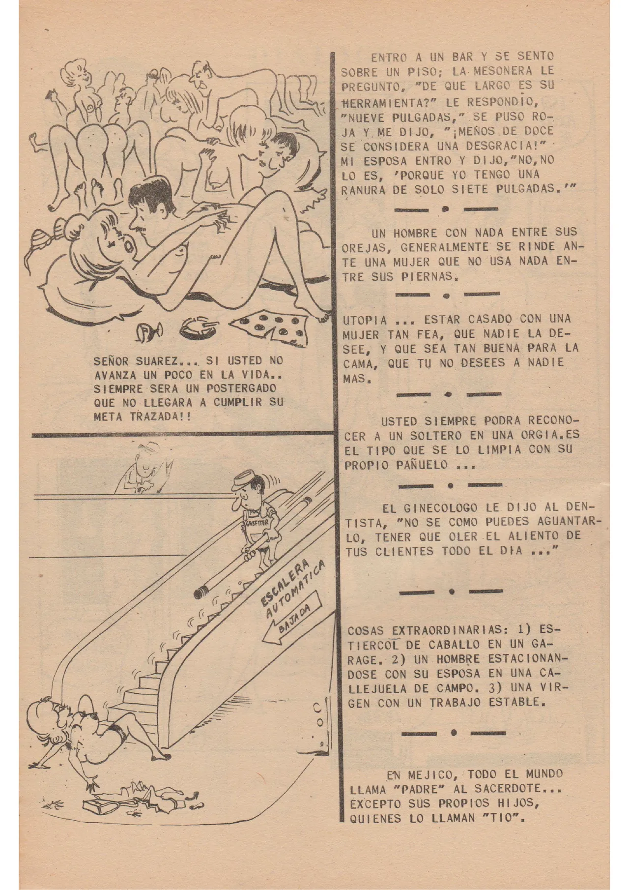 Revista Nat 77 image number 27