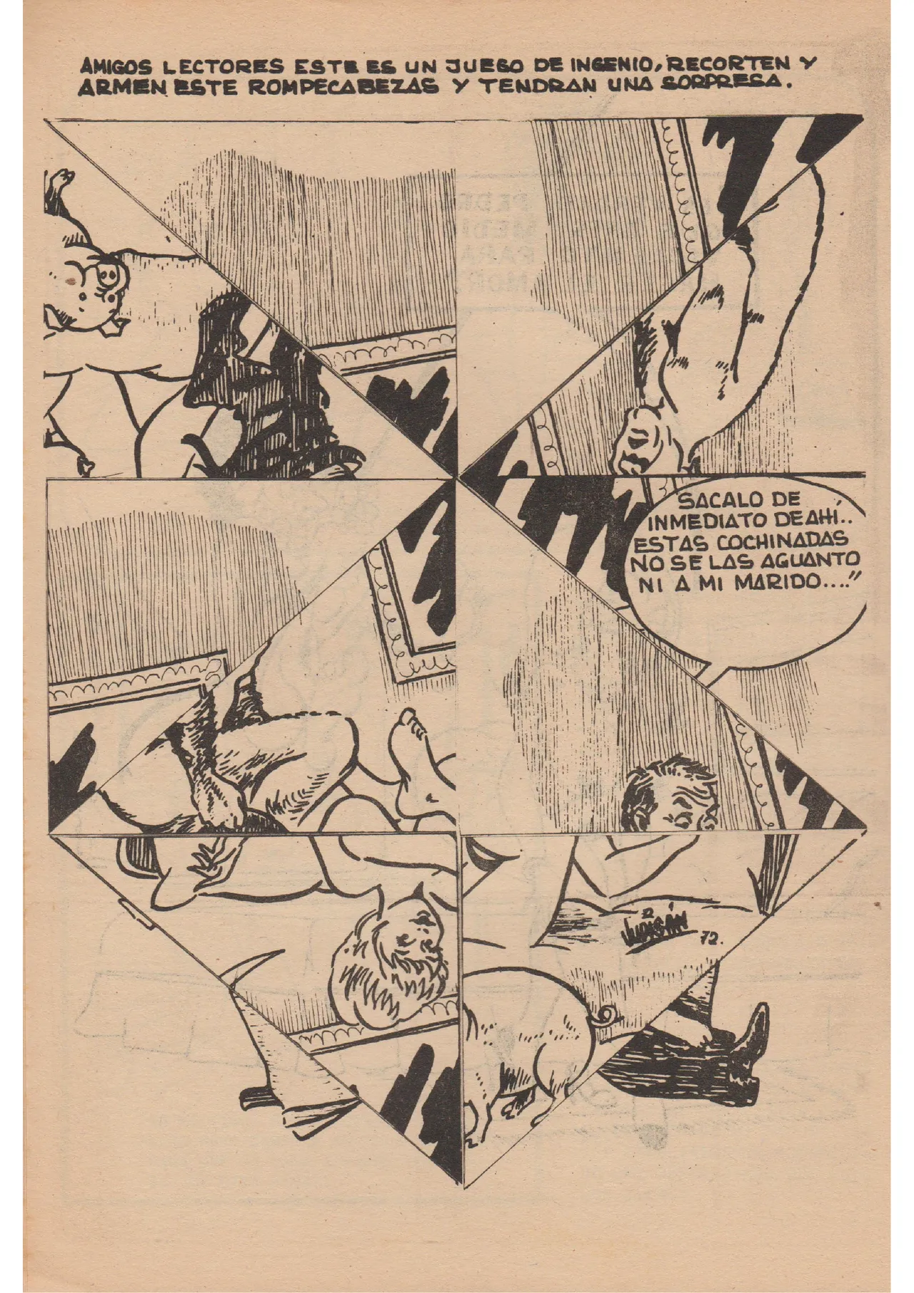 Revista Nat 77 image number 13